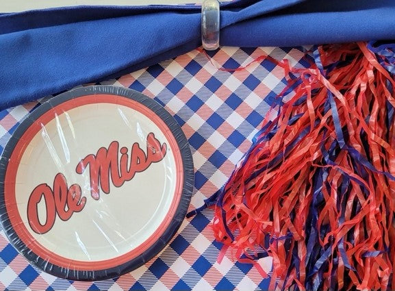 Red & Blue Gingham Paper Placemat