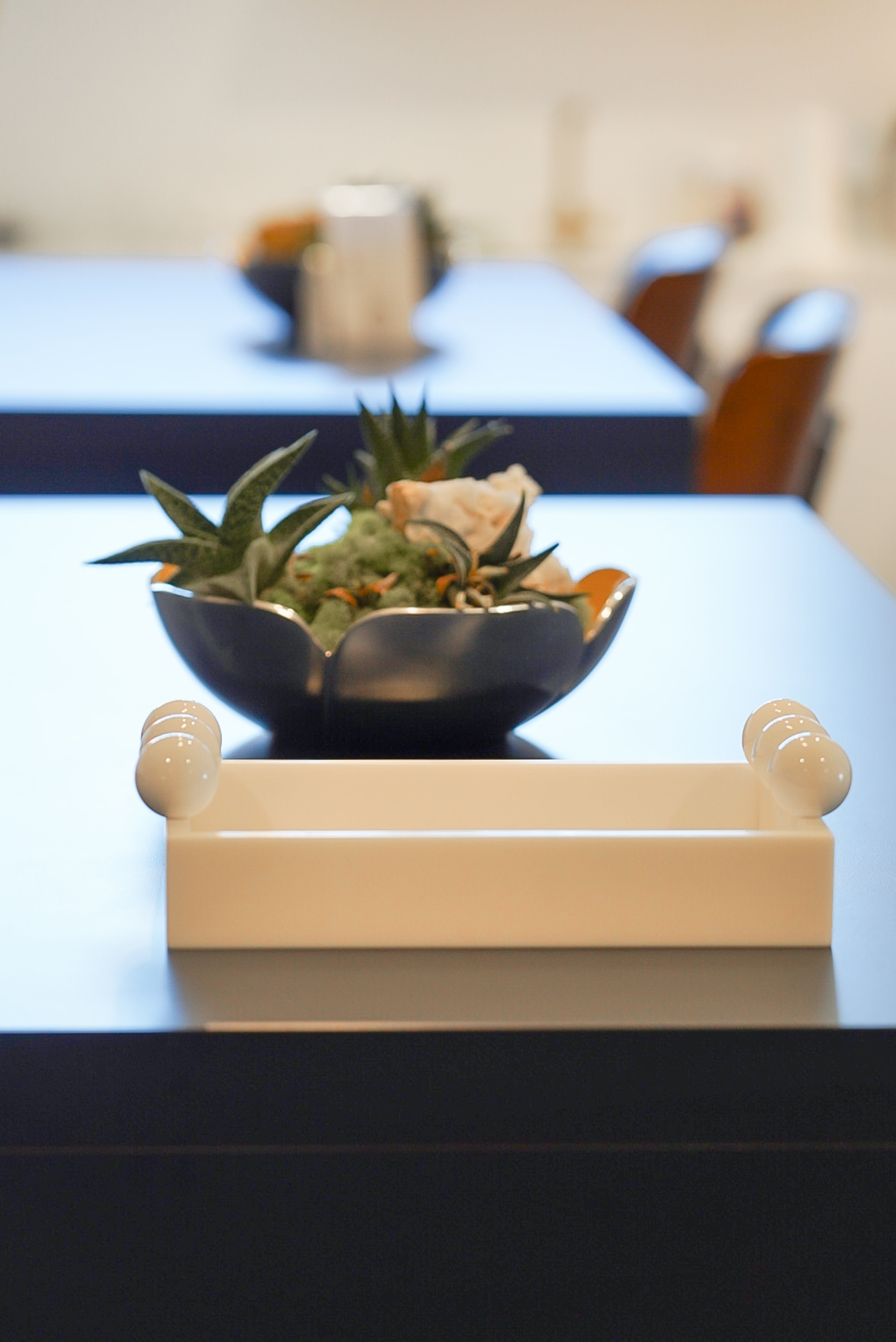 Knobby Curio Tray (White-on-White)