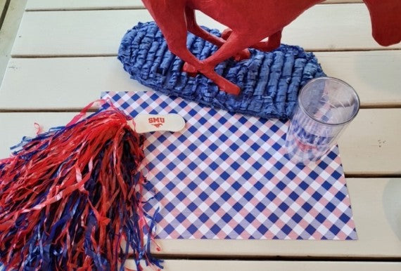 Red & Blue Gingham Paper Placemat